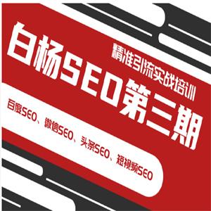 白杨SEO第三期精准引流实战培训（百度SEO、微信SEO、头条SEO、短视频SEO）