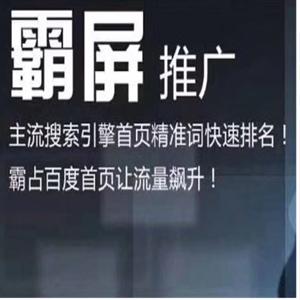 老船长百度霸屏引流课：利用精准关键词使得百度排名快速提升