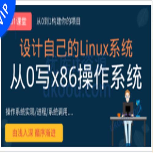 李述铜-从0手写自己的Linux x86操作系统（网盘完结无密）