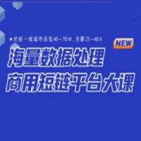 微服务架构-海量数据商用短链平台项目大课 – 带源码课件