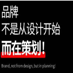王胤卓品牌视觉设计大师课