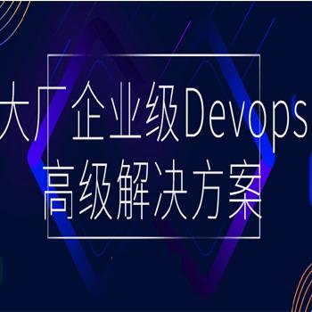 DevOps解决方案, 大厂企业级Devops高级解决方案