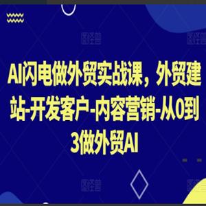 AI闪电做外贸实战课，外贸建站-开发客户-内容营销-从0到3做外贸AI