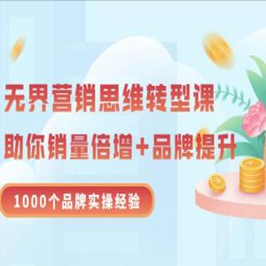 无界营销思维转型课：1000个品牌实操经验，助你销量倍增（20节视频）