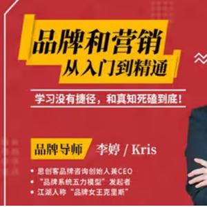 李婷kris品牌和营销：从入门到精通