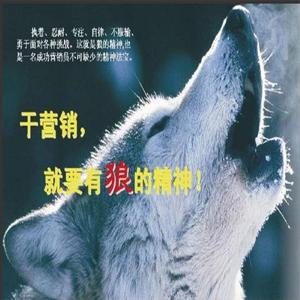 狼性营销之捡钱流氓