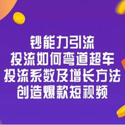 钞能力引流：投流弯道超车，投流系数及增长方法，创造爆款短视频（20 节）