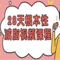 28天根本性减脂视频课程