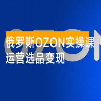 俄罗斯 OZON 本土店实操课，​OZON 本土店运营选品变现