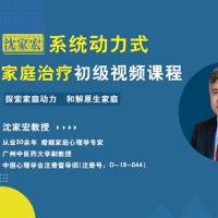 沈家宏系统动力式家庭治疗初级课程30讲视频课