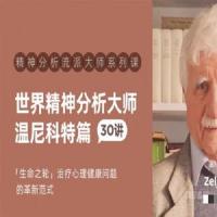 世界精神分析大师系列课——温尼科特篇【视频课30讲】