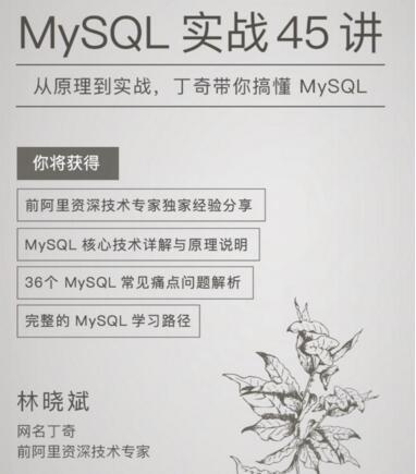 《MySQL 实战 45 讲》,从原理到实战，阿里技术专家带你搞懂 MySQL-极客时间