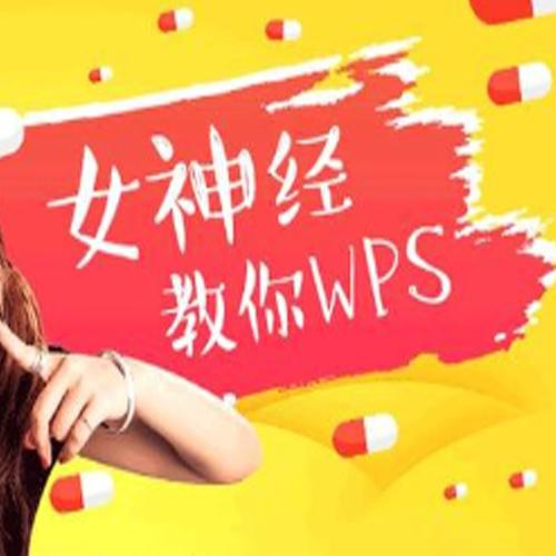 女神经教你玩WPS（共50课）