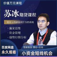 苏冰期货正收益交易系统训练营小资金短线机会资金管理赢家思维课