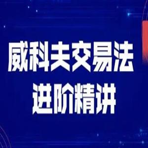 飞云金教《威科夫量价分析》