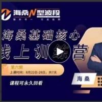 【期货课程】陈金辉海桑N型波段：8月22日海桑基础核心线上训练营