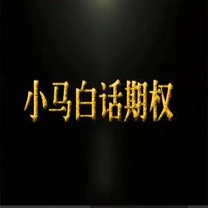小马白话期权【第1季】