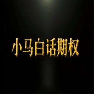 小马白话期权【第4季】