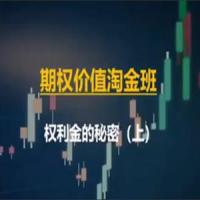 期权价值淘金班, 期权价值淘金班