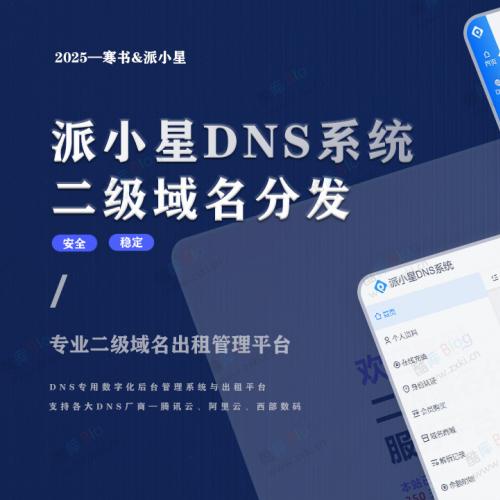 2025派小星DNS二级域名分发源码