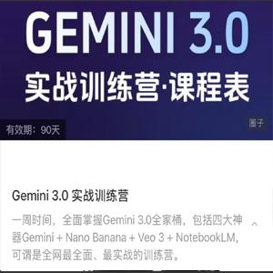 Gemini3.0实战训练营