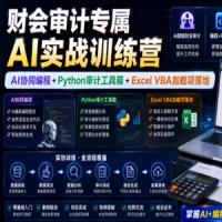 财会审计专属AI实战训练营｜AI协同编程+Python审计工具箱+Excel VBA加载项落地