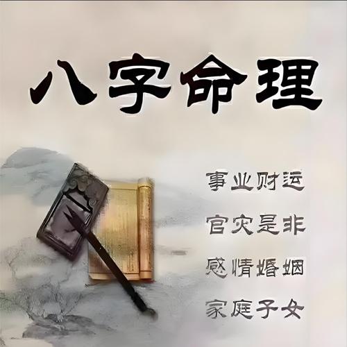 八字、命理、玄学教程（含图文、视频讲解、软件操作等）【511G】