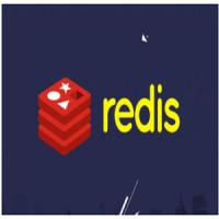 Redis视频 – 带源码课件