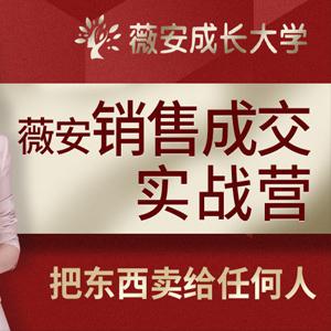 薇安28天销售成交实战营