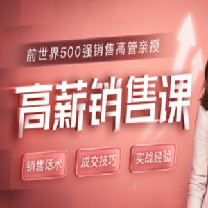 薇安 18节高薪销售课