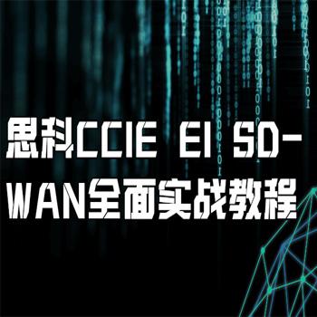 思科CCIE EI SD-WAN全面实战课程