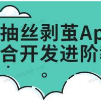 抽丝剥茧App混合开发进阶课