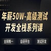 挑战年薪50万，高级测试开发全栈系列课