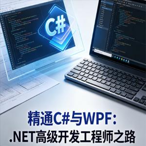 精通C#与WPF：.NET高级开发工程师之路