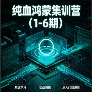 纯血鸿蒙集训营（1-6期）