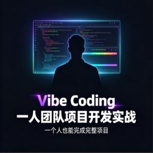 Vibe Coding 一人团队项目开发实战