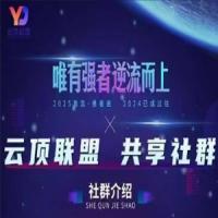 云顶联盟·无人直播实战(更新12月)，新无人玩法和半无人玩法分享