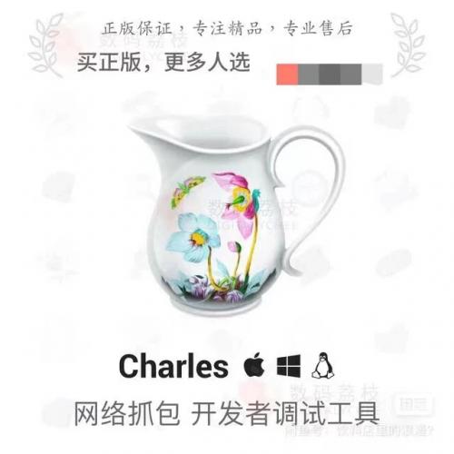 程序员必备利器“青花瓷”抓包工具，注册码出售啦！享受正版升级，不能用，秒退款，货量充足，感兴趣的话点