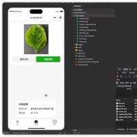 【原创未用】农业病虫害识别系统源码一套，EfficientNet+BEC模型，前后端全都有，文+训练