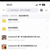 出掐丝珐琅车标教程，网盘资源，高清视频，画质清晰，支持手机电脑观看。内容包含车标底板处理、掐丝、彩砂