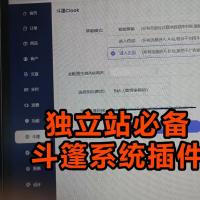 斗篷系统插件｜独立站必备斗篷系统插件，支持AB轮询+斗篷规避，广告投放更易过审，适合做仿牌、黑五、外