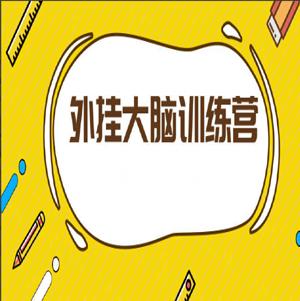大脑训练营 用印象笔记有序管理一切信息，蜕变成为1%做事漂亮且高效的精英