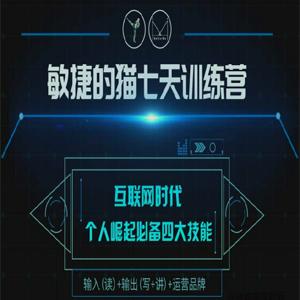 敏捷的猫七天训练营～个人崛起