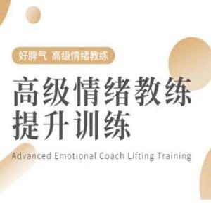 高级情绪教练提升训练