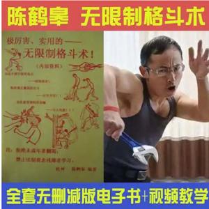 陈鹤皋无限制格斗《 一切为了实战而练》+训练视频