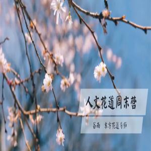 谷雨老师《人文花道美学营》插花教程