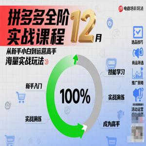 大炮拼多多全阶实战课程12月，从新手小白到运营高手，海量实战玩法