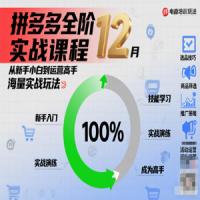大炮拼多多全阶实战课程12月，从新手小白到运营高手，海量实战玩法
