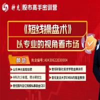 神光颜劼短线操盘术2025小班技能提升课+指标+日报