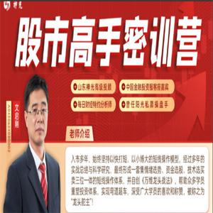 神光文启刚万维龙头战法股市高手密训营2025小班课+指标+日报